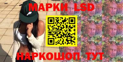 СК Гатчина