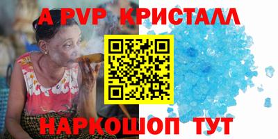 СК Гатчина