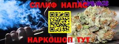 СК Гатчина