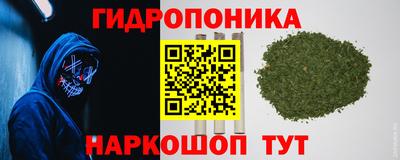 Альфа ПВП Гагарин