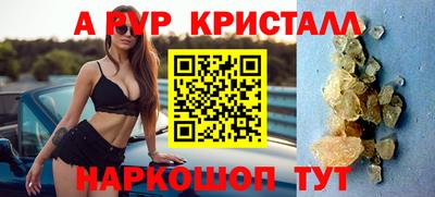 СК Гатчина