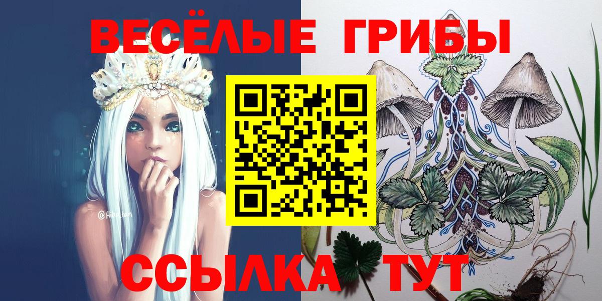 как найти наркотики  Псилоцибиновые грибы MAGIC MUSHROOMS  Нижнекамск  Вход с VPN  Псилоцибиновые грибы Cubensis 